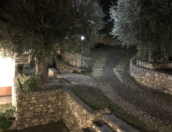 Olive grove | Villaggio Borgoverde Imperia